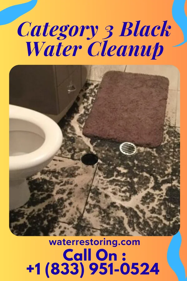 Category 3 Black Water Cleanup in Dover Base Housing, DE
