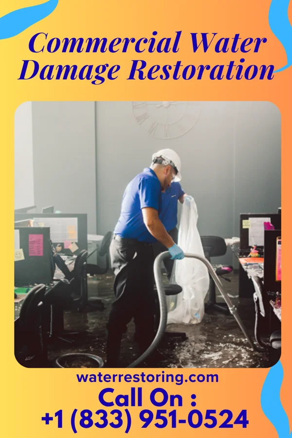 Commercial Water Damage Restoration in Dover Base Housing, DE