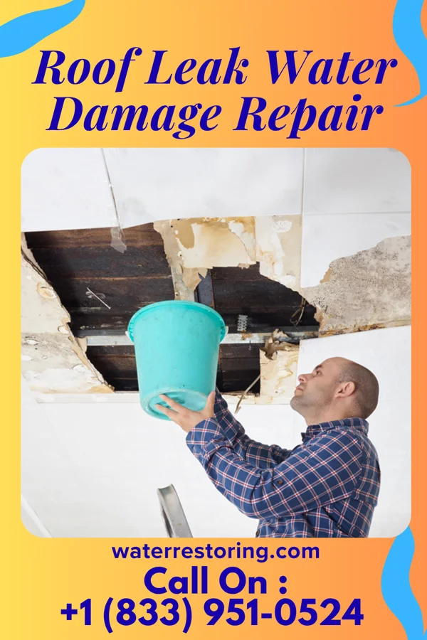 Roof Leak Water Damage Repair in Dover Base Housing, DE