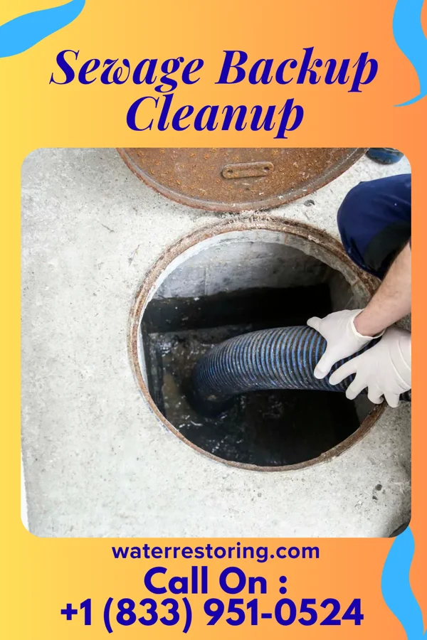 Sewage Backup Cleanup in Dover Base Housing, DE